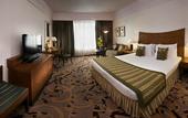Туры в отель Radisson Blu Hotel Noida