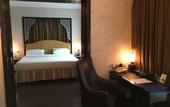 Туры в отель Radisson Blu Hotel Noida