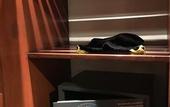 Туры в отель Radisson Blu Hotel Noida