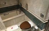 Туры в отель Radisson Blu Hotel Noida