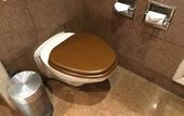 Туры в отель Radisson Blu Hotel Noida