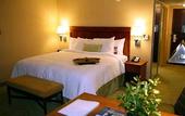 Туры в отель Hampton Inn & Suites Poughkeepsie