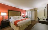 Туры в отель Hotel MTK Mount Kisco