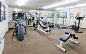 Туры в отель Sonesta Simply Suites Nanuet