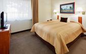 Туры в отель Sonesta Simply Suites Nanuet