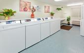 Туры в отель Sonesta Simply Suites Nanuet