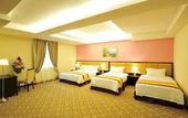 Туры в отель Hallmark Regency Hotel - Johor Bahru