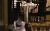 Туры в отель Renaissance Johor Bahru Hotel