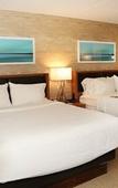 Туры в отель enVision Hotel & Conference Center Mansfield-Foxboro