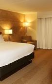 Туры в отель enVision Hotel & Conference Center Mansfield-Foxboro