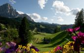 Туры в отель Jagerheim Hotel