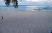 Туры в отель Nautibeach Condos
