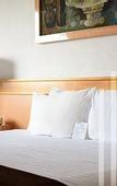 Туры в отель Hotel Laffayette Ejecutivo