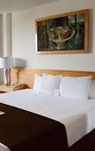 Туры в отель Hotel Laffayette Ejecutivo