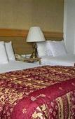 Туры в отель Hotel Laffayette Ejecutivo