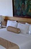 Туры в отель Hotel Laffayette Ejecutivo