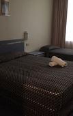 Туры в отель The Select Inn Penrith