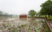 Туры в отель Mai Chau Lodge