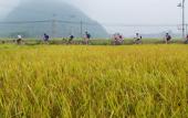 Туры в отель Mai Chau Lodge