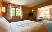 Туры в отель Best Western Plus Hotel & SPA Le Schoenenbourg