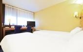 Туры в отель Hotel Kyriad Mulhouse Est - Lutterbach