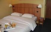 Туры в отель Hotel Kyriad Mulhouse Est - Lutterbach