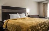 Туры в отель HomeTown Inn by Red Roof East Syracuse