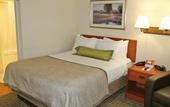 Туры в отель Candlewood Suites - Syracuse Airport by IHG