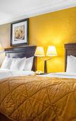 Туры в отель Quality Inn & Suites Syracuse Fairgrounds