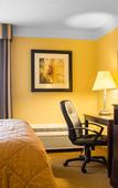 Туры в отель Quality Inn & Suites Syracuse Fairgrounds