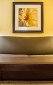 Туры в отель Quality Inn & Suites Syracuse Fairgrounds