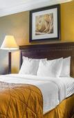 Туры в отель Quality Inn & Suites Syracuse Fairgrounds