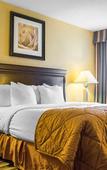 Туры в отель Quality Inn & Suites Syracuse Fairgrounds
