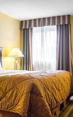 Туры в отель Quality Inn & Suites Syracuse Fairgrounds
