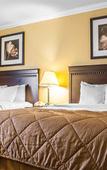 Туры в отель Quality Inn & Suites Syracuse Fairgrounds