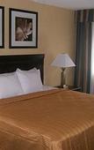 Туры в отель Quality Inn & Suites Syracuse Fairgrounds