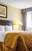 Туры в отель Quality Inn & Suites Syracuse Fairgrounds