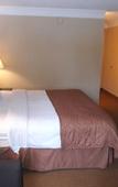 Туры в отель Quality Inn & Suites Syracuse Fairgrounds