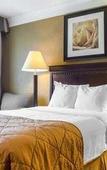 Туры в отель Quality Inn & Suites Syracuse Fairgrounds