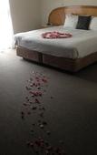 Туры в отель Cairns Sheridan Hotel