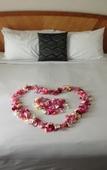 Туры в отель Cairns Sheridan Hotel