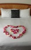 Туры в отель Cairns Sheridan Hotel
