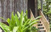 Туры в отель Palm Village Resort & Spa