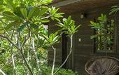 Туры в отель Palm Village Resort & Spa