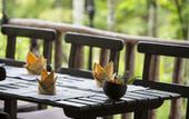 Туры в отель Palm Village Resort & Spa