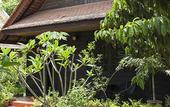 Туры в отель Palm Village Resort & Spa