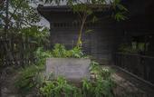 Туры в отель Palm Village Resort & Spa