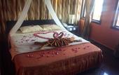 Туры в отель Golden Butterfly Villa