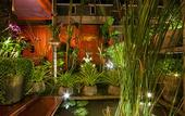 Туры в отель Golden Butterfly Villa