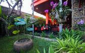 Туры в отель Golden Butterfly Villa